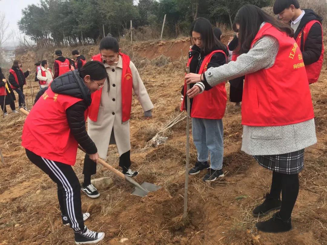微信图片_20190315103513.jpg